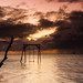 FQ97. Stormy weather