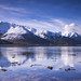 Snowline